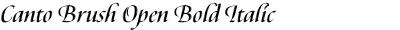 Canto Brush Open Bold Italic